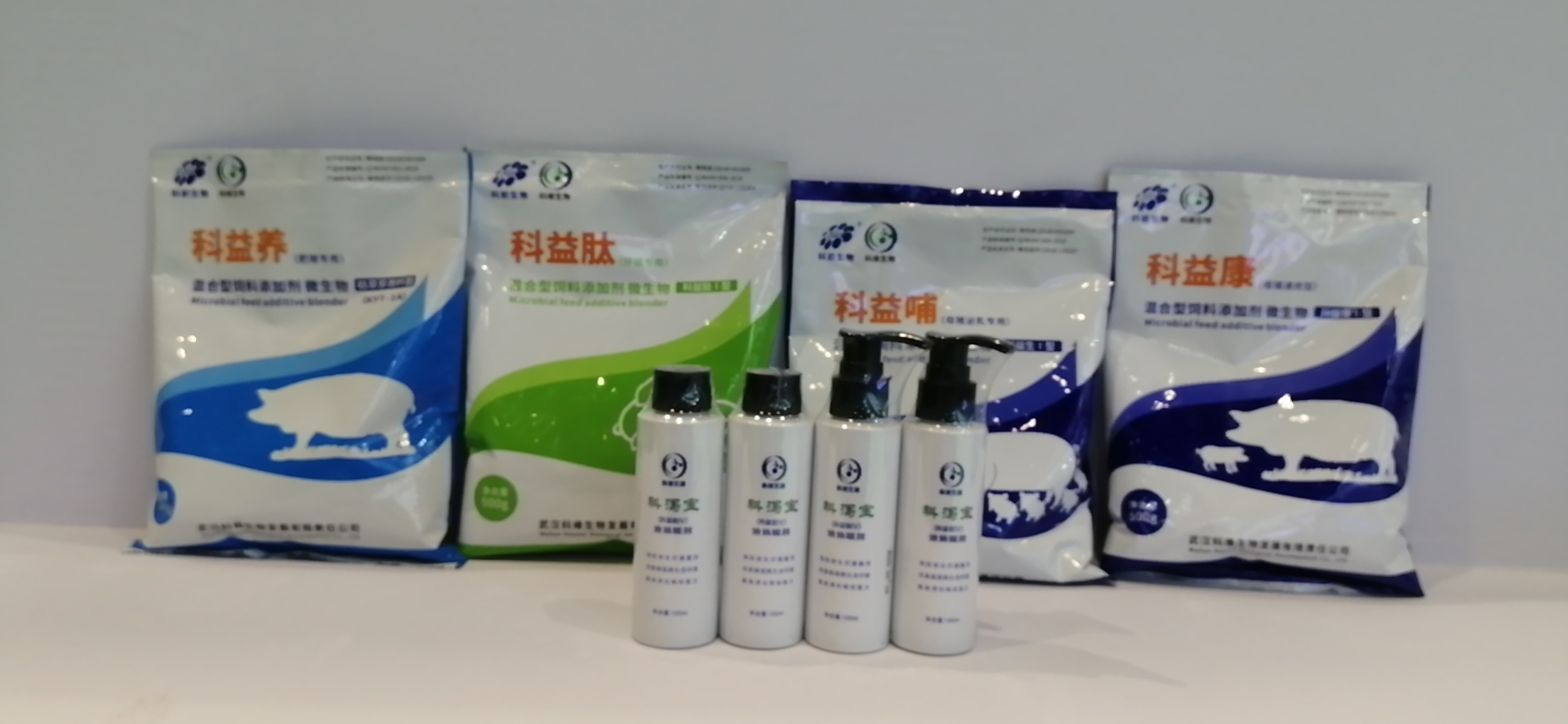 图片6.png 图片6.png